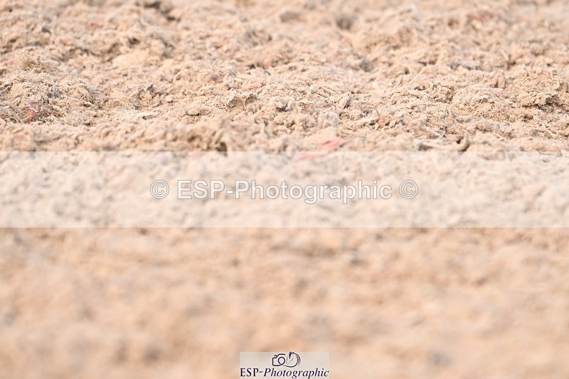 240324A-134836-03498 - Novice 28, 13.00 to 14.00