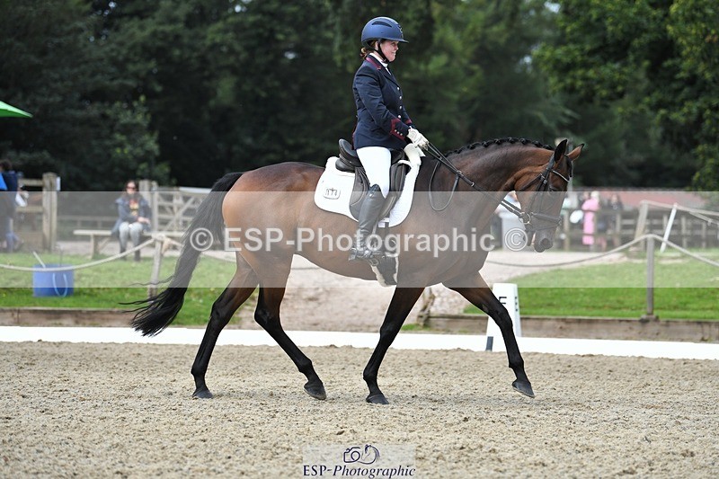 230812-110655-03528 - Cls 6 Novice Silver 10.30 to 11.55 break