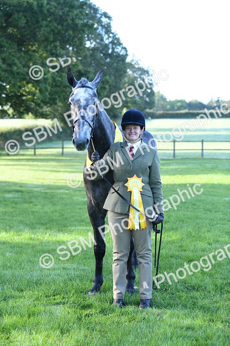 SBM_32822 - S15 - Condition & Turnout In Hand