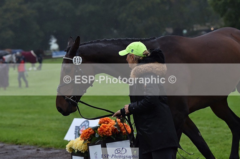 231018-120948-00111 - 012-ROMANY.CRICKET-Nana.Dalton-TrotUp