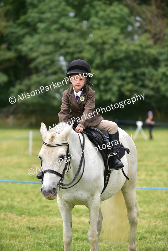 20260614-3723 - Class 15 - Prettiest Mare
