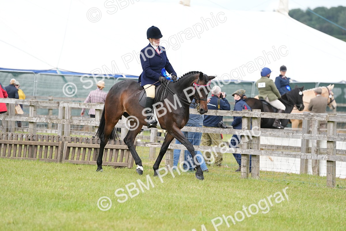 SBM_16002 - Class 103-104 - RIHS Hacks