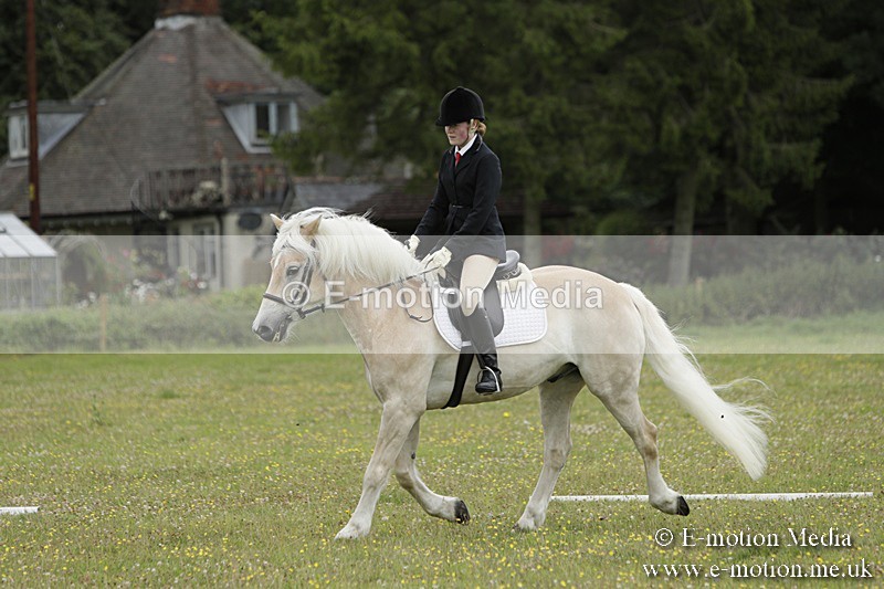 BVR160717-1211 - Class 2 Dressage 16/07/17