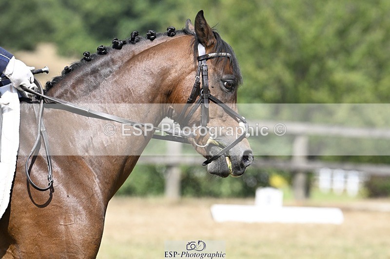 250822A-114251-22351 - DR 11.00 to 12.00