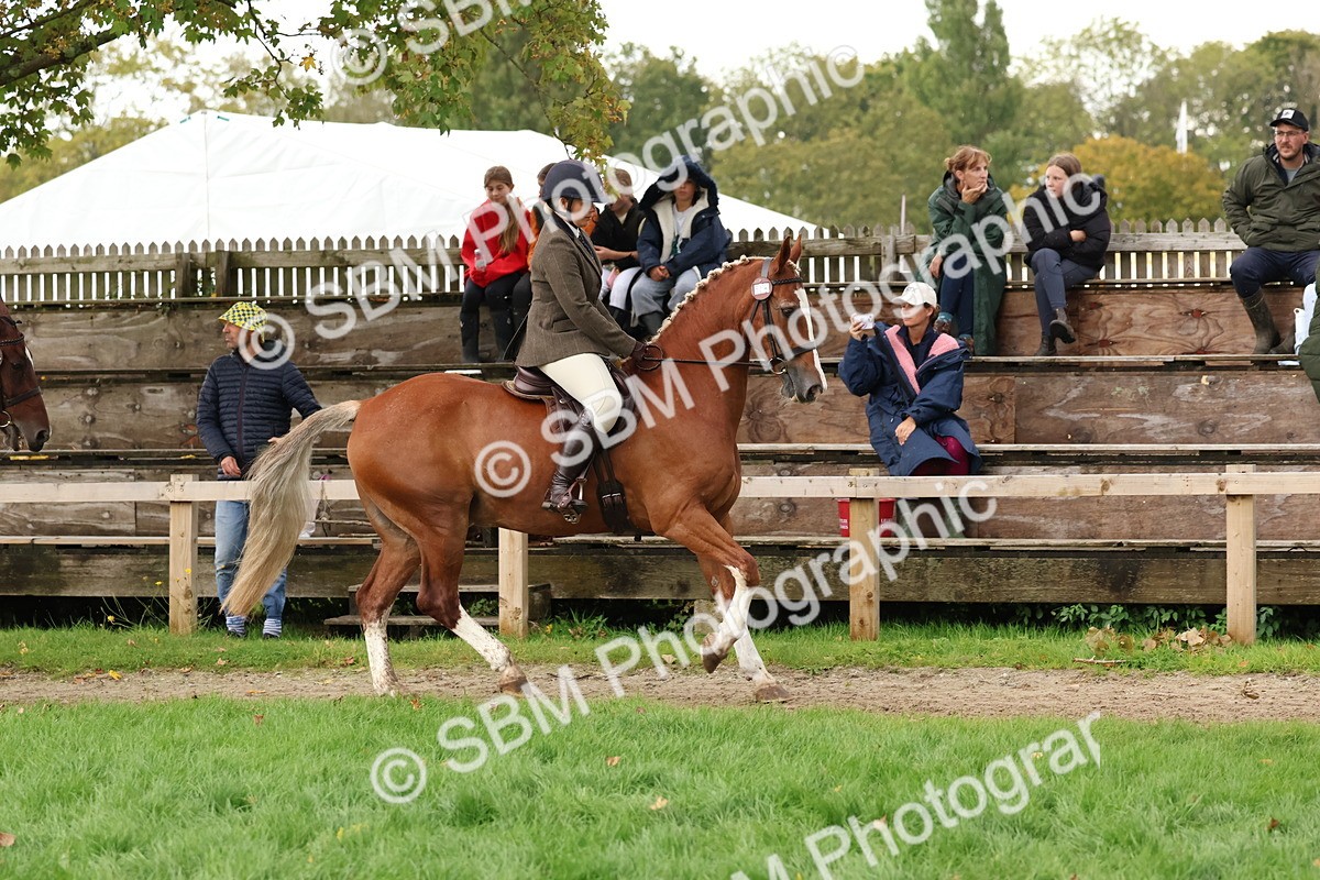 SBM_44987 - S27 - Young Veteran Ridden