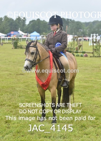 JAC_4145 - 40CM WORKING HUNTER