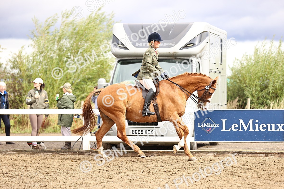 SBM_00579 - Class 53 - Ridden Competition Horse Pony