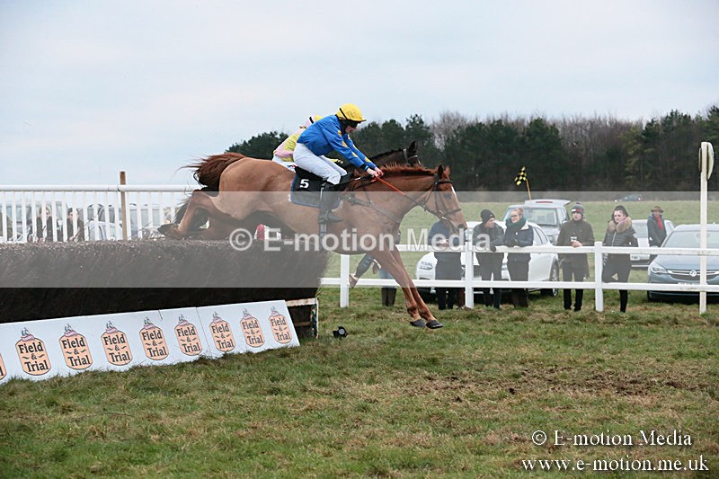 PtP 060119 594 - Larkhill Racing Club - Point-to-Point- 06/01/2019