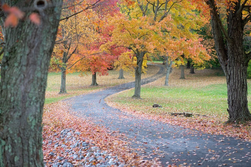 DSC_1895 - Roads