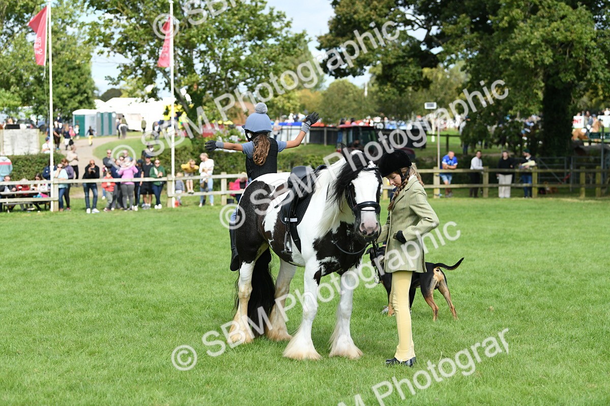 SBM_46947 - S12 - Family Horse & Pony