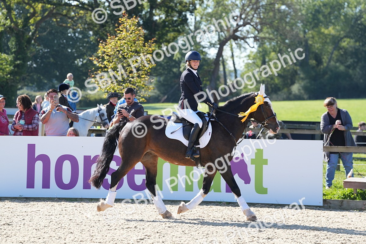 SBM_36268 - J 20 - Junior Horse 50cm Championship