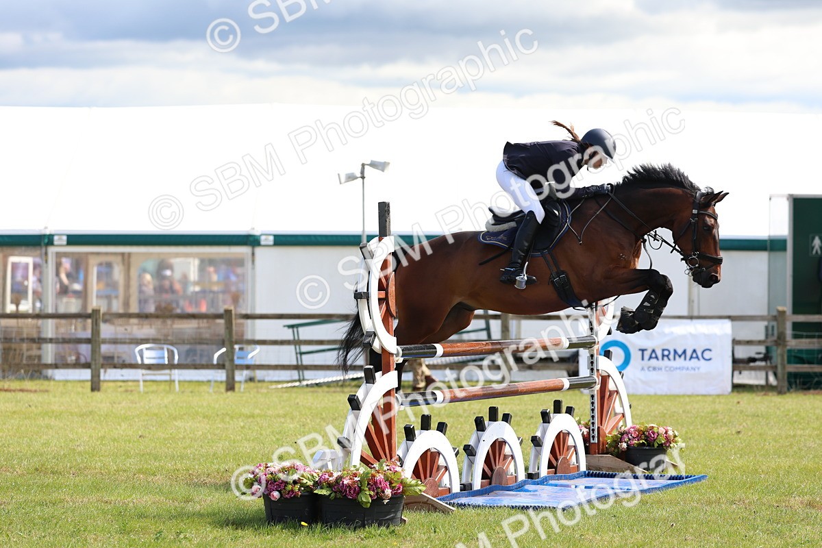 SBM_13511 - Class 206 - Senior Newcomers - 1.10m Open