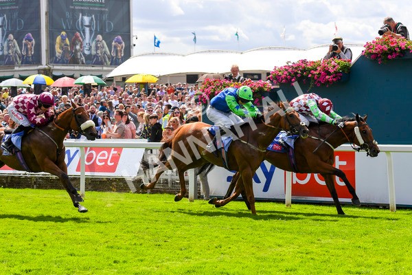 290723-Race 1-Soul Seeker-0297 - Race 1 2.05pm Sky Bet 'Jump Jockeys' Nunthorpe' Handicap