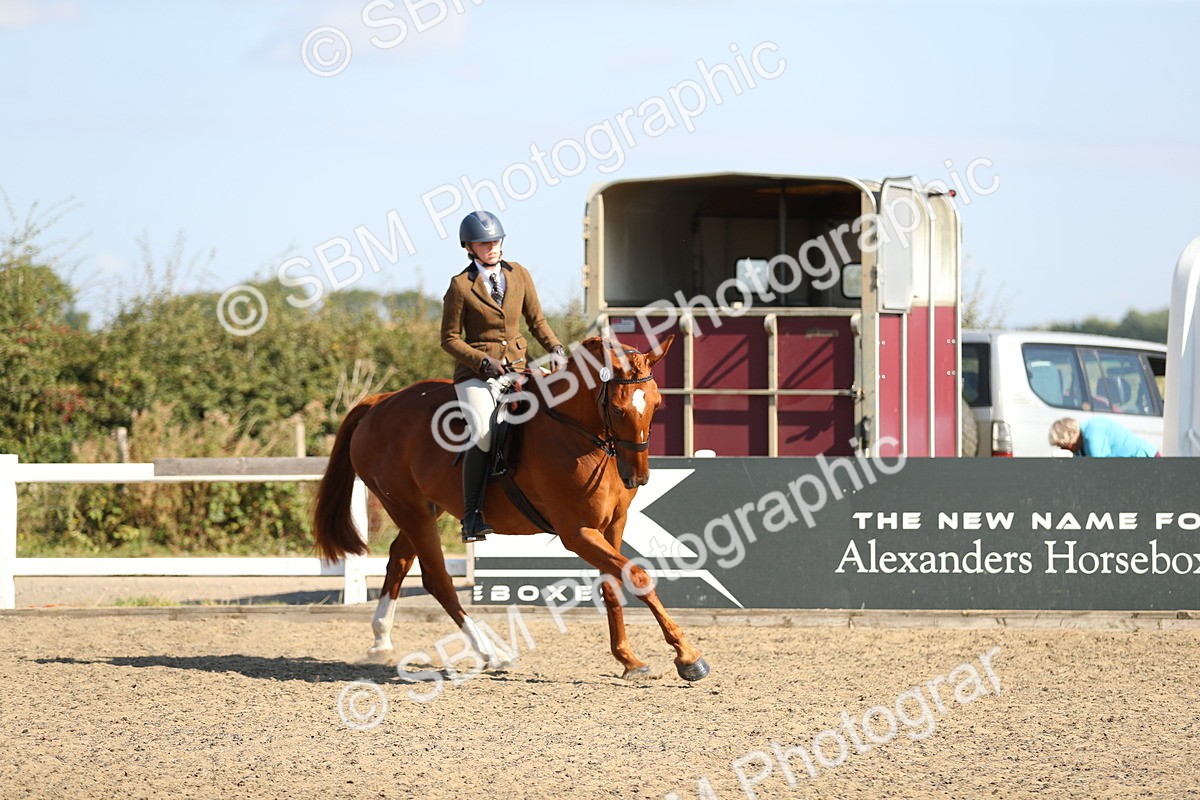 SBM_02298 - Class 43 Ridden Competition Horse/Pony