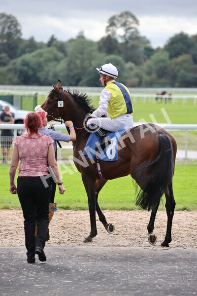 yr24092021r5-1 - Race 5 3.50pm William Hill Leading On Course Bookmaker Stakes