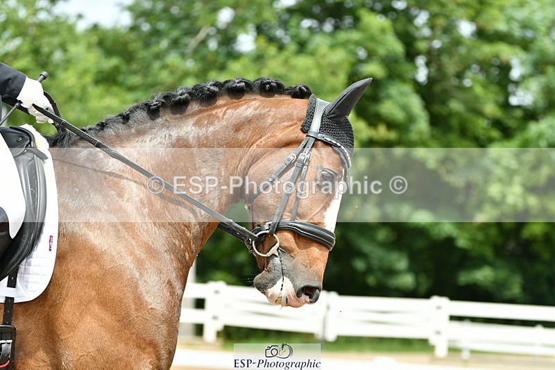 230702A-130912-09434 - Cls 29 Elementary 57