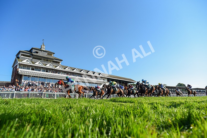 180524-Race 8-Lord Abama-2-2 - Race 8