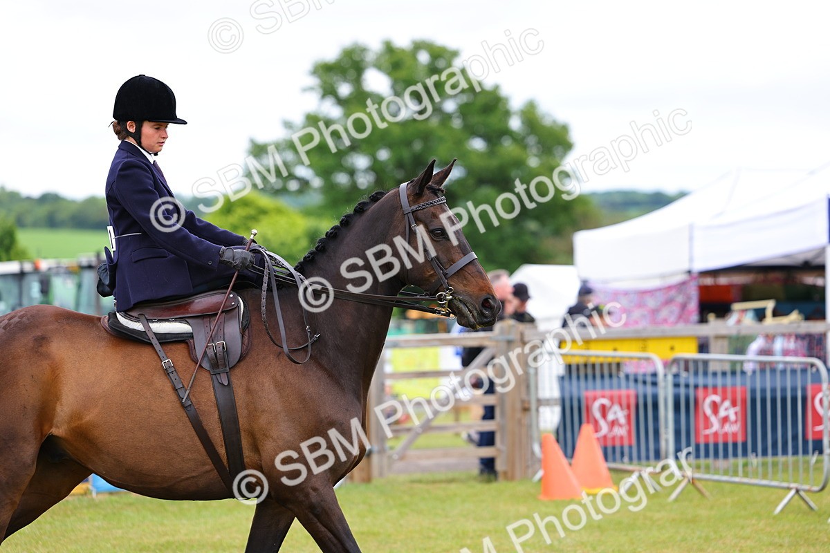 SBM_02701 - Class 9-11 Side Saddle including LIHS Rising Star Ladies Show Horse