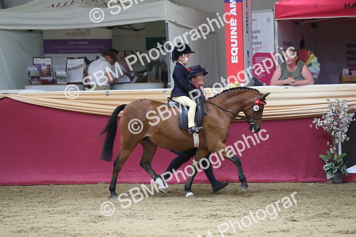 SBM_08364 - Class 11R Regional Ridden Veteran