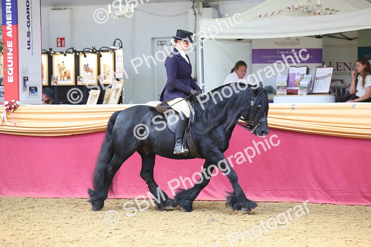 SBM_24051 - Class 905 - Supreme Final - Ridden Veteran