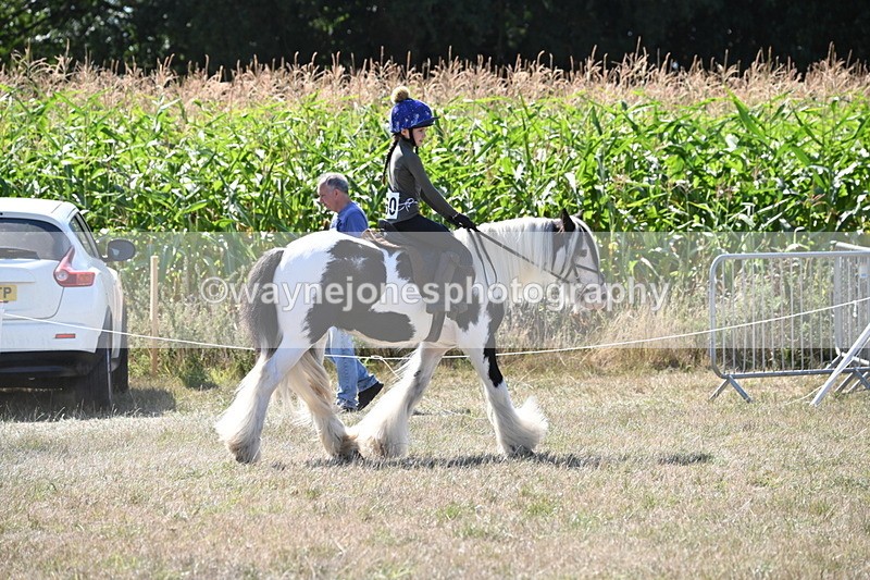 WJ6_8951 - Class 38 Ridden Riding Horse/Pony