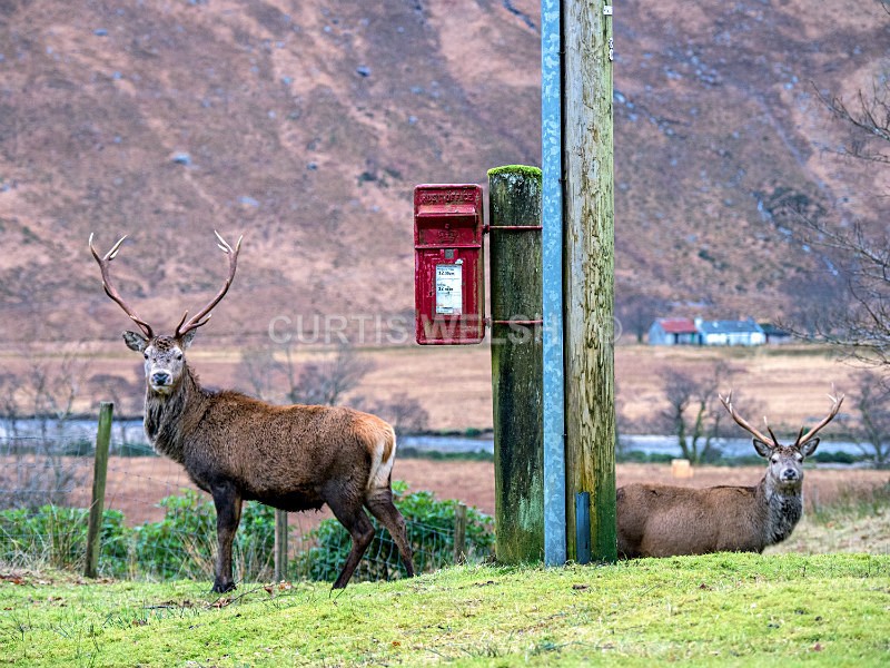 21 - THE SCOTSMAN - READERS GALLERY