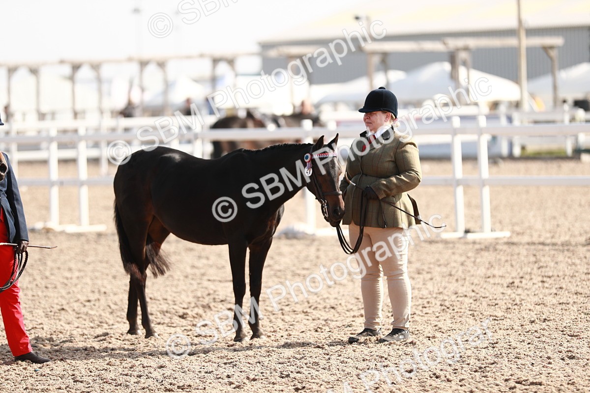 SBM_11067 - Class 205 IH Show Pony/ Show Hunter Pony