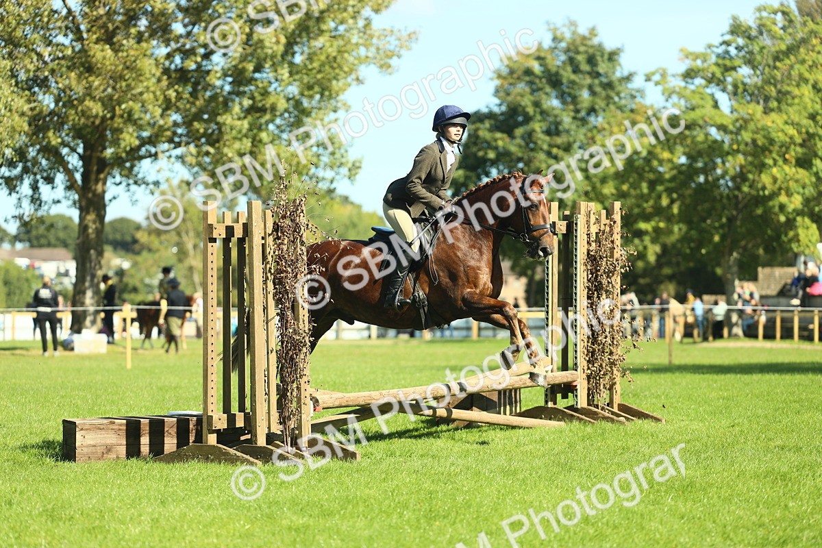 SBM_39151 - S29 - Novice & Newcomers Working Hunter Pony