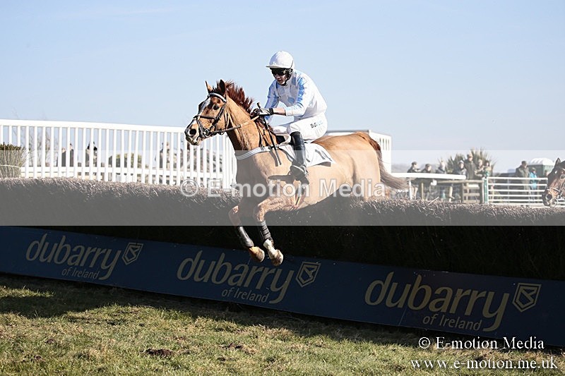 PtP 240218 396 - Vine & Craven Hunt Point-to-Point Barbury racecourse 24/02/18