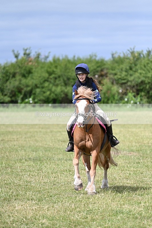 WJ7_5603 - 80cm XC Pairs