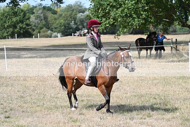 WJ7_6195 - Class 13 Ridden Veterans