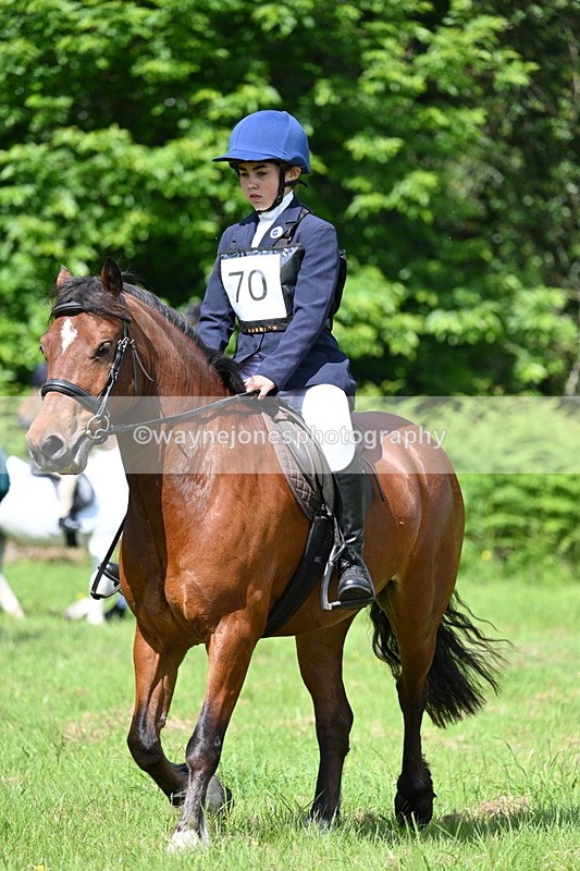 WJ7_1198 - Class 11 Condition & Turnout