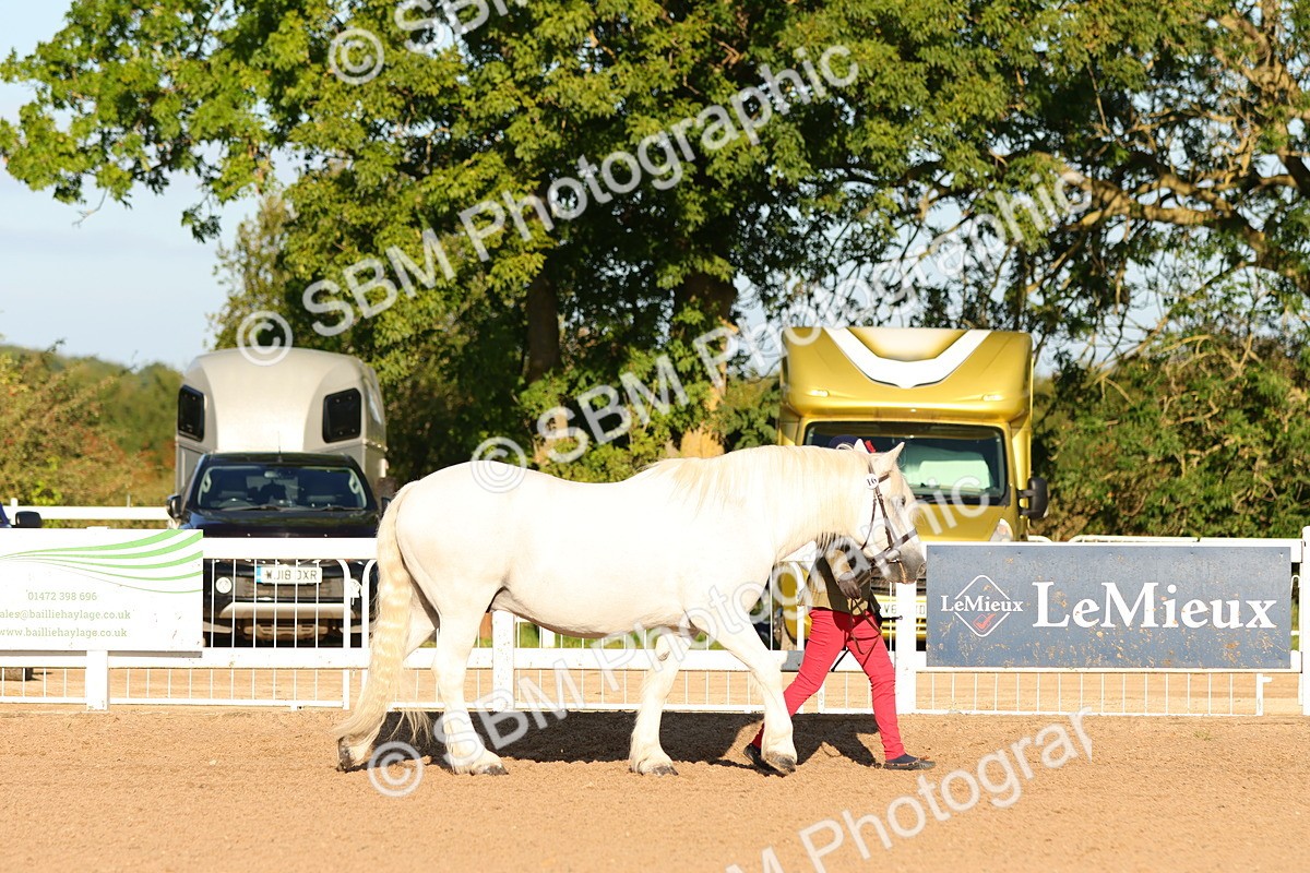 SBM_07956 - Class 201 - Best Turned Out - IH