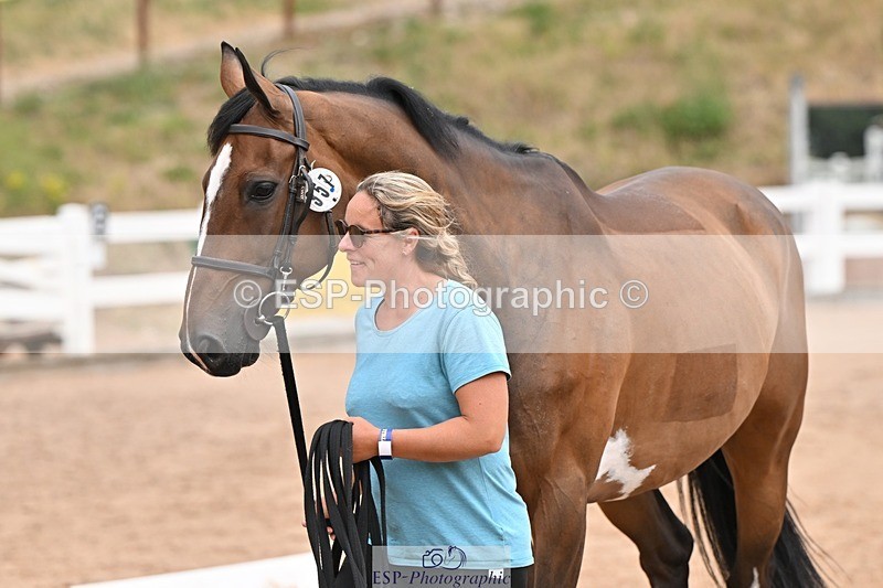 250716-144123-01310 - Trot Up 2.30 to 3.30