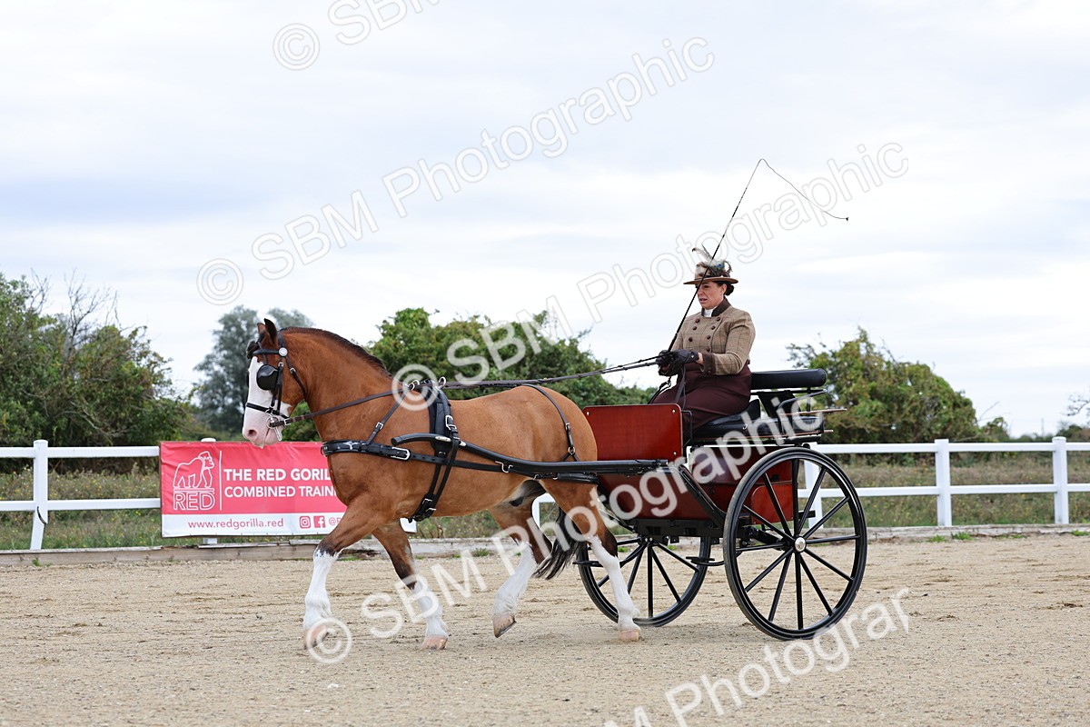 SBM_000285 - Class 2 - Exercise Vehicle 13.2hh & Under