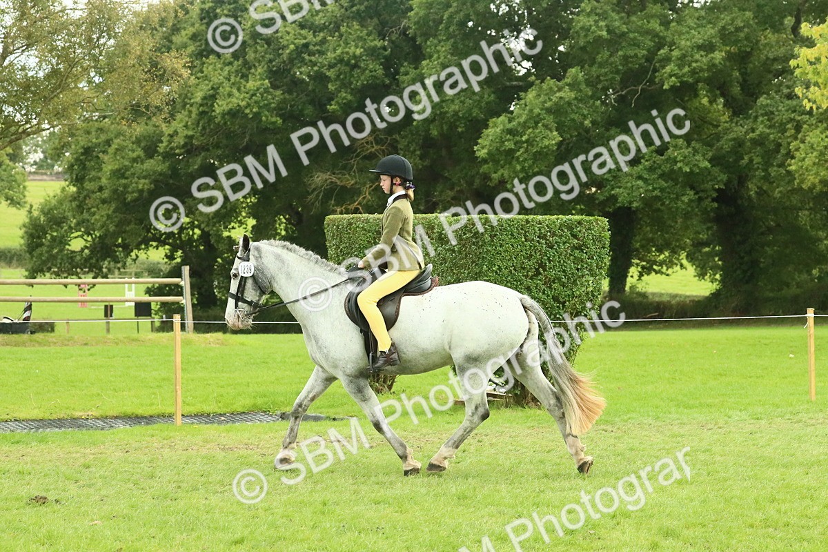 SBM_74044 - S 61 - Show Pony & Show Hunter Pony Ridden