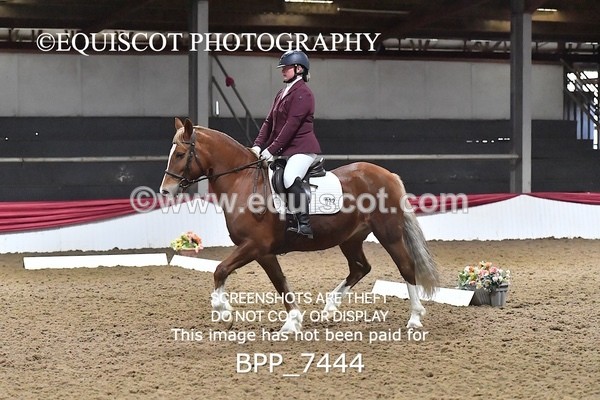 BPP_7444 - INTRO TEST 1