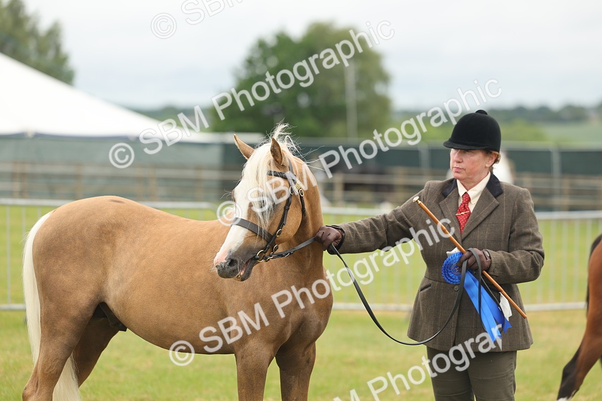SBM_02192 - Class 50-57 - M&M Welsh Pony In Hand