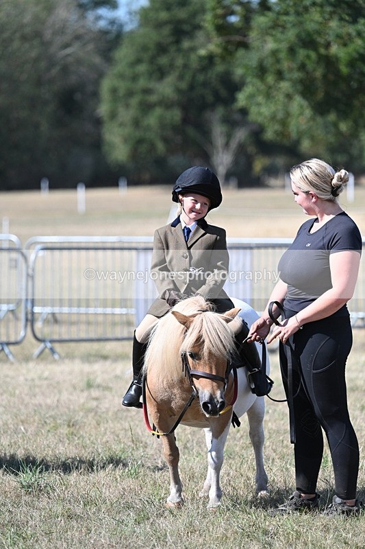 WJ7_1292 - Class 41 Prettiest Mare