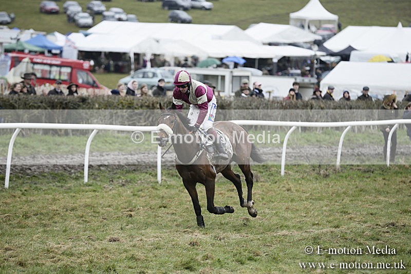 PtP 020418 -499 - Old Berks Point-to-Point Races Easter Monday 02/04/18