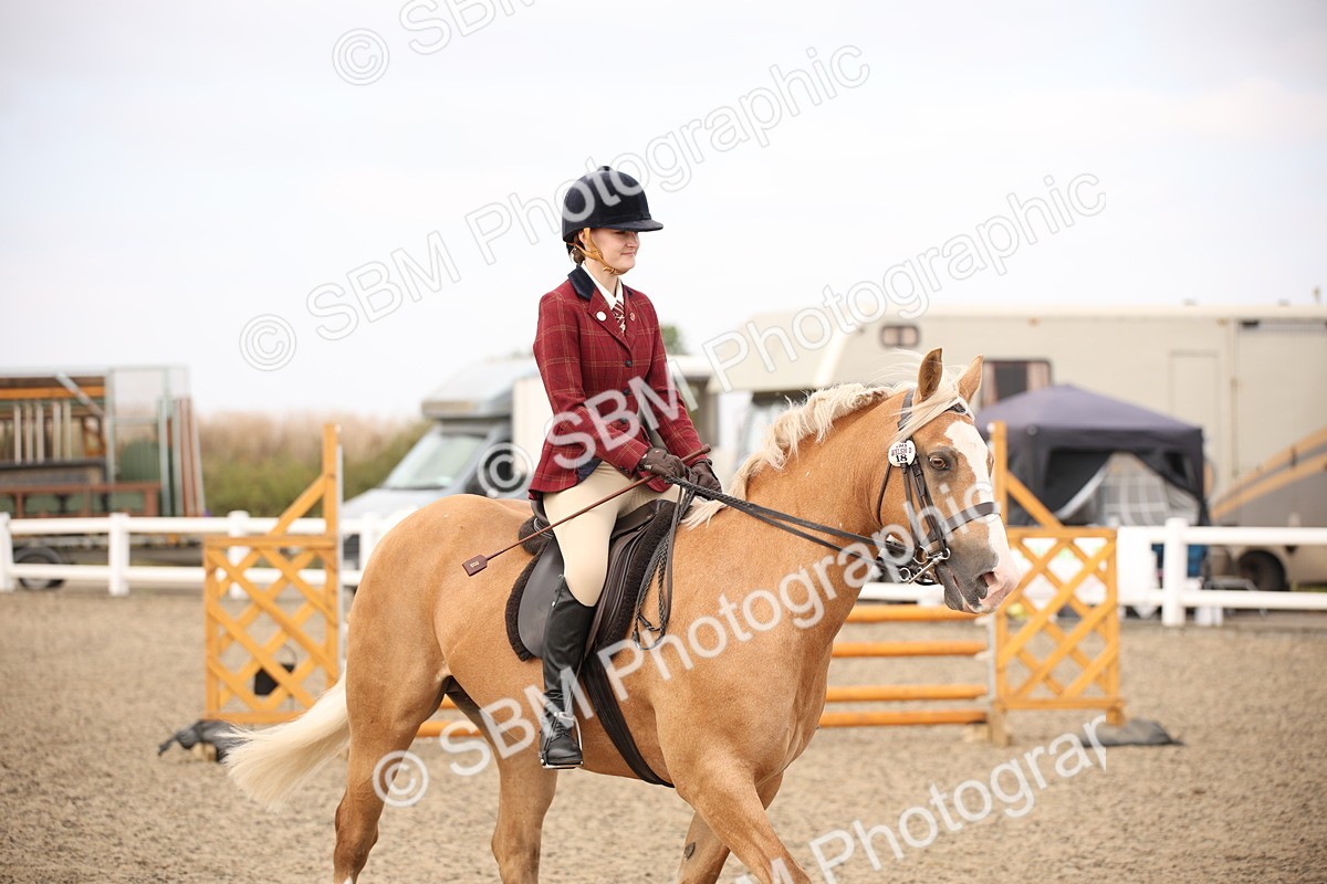 SBM_16194 - Class 409a - Working Veteran 80cm (15-19)