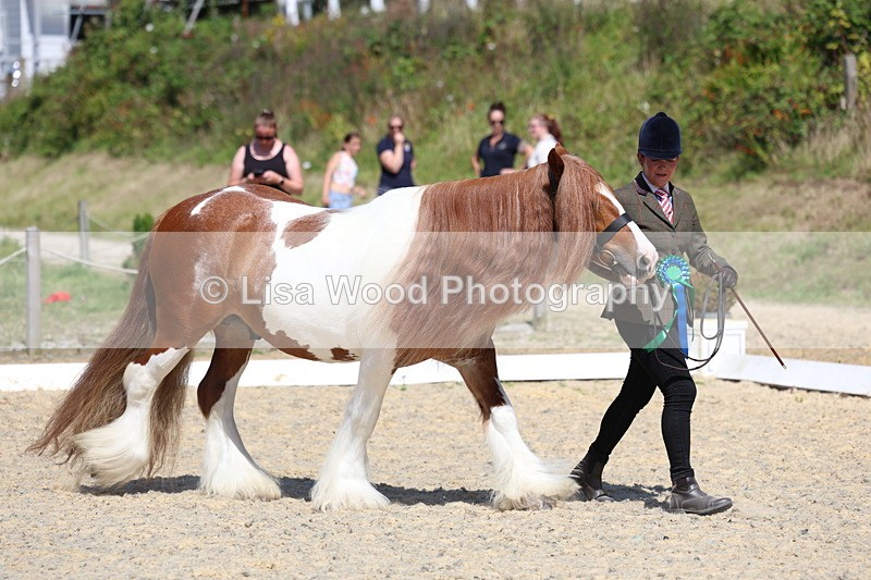 3E7A9807 - In Hand Championship