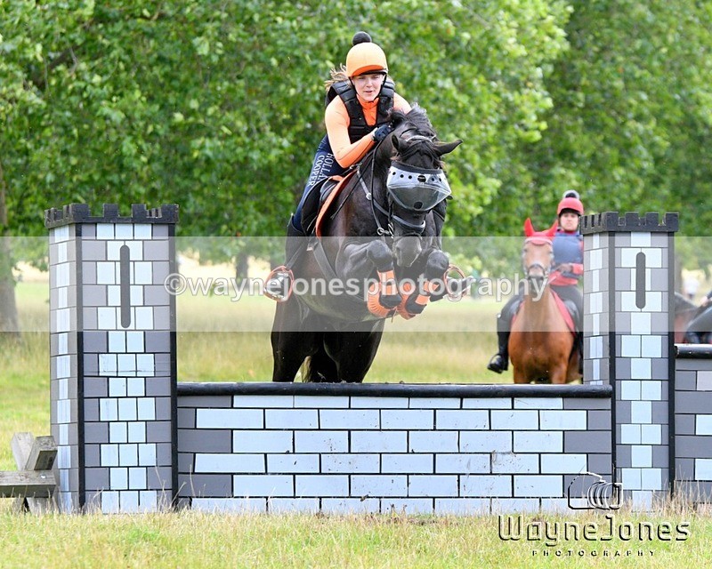 WJ5_2012 - edited examples