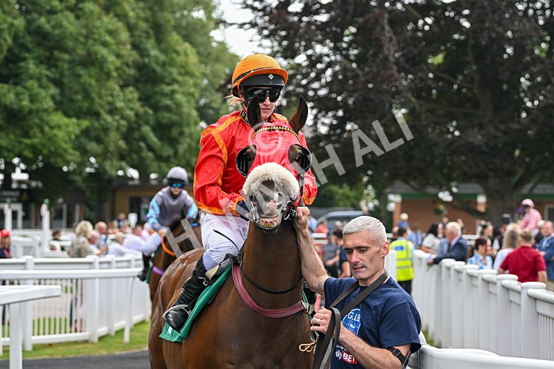 250725-Graham Lee IJF Stable Staff Stakes-C-3601 - The Graham Lee IJF Fund Stable Staff Stakes