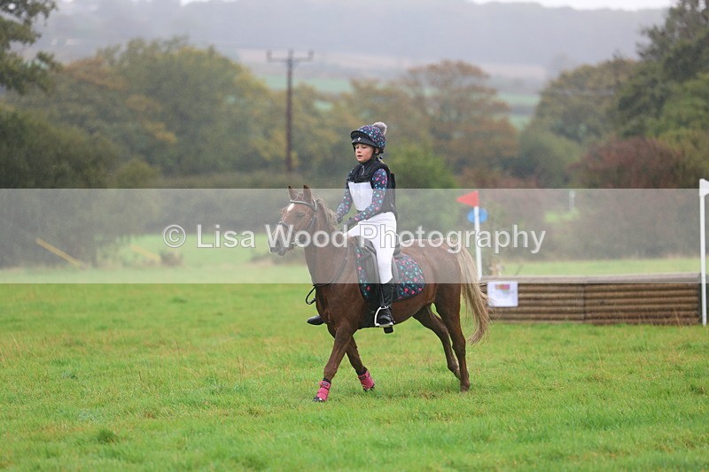 3E7A1032 - Class 1: 65cm: Rails