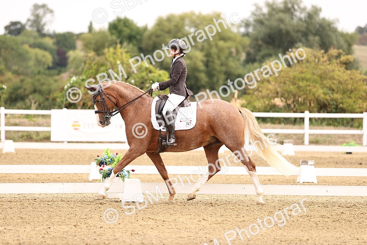 SBM_011537 - Class 1 - Medium 5