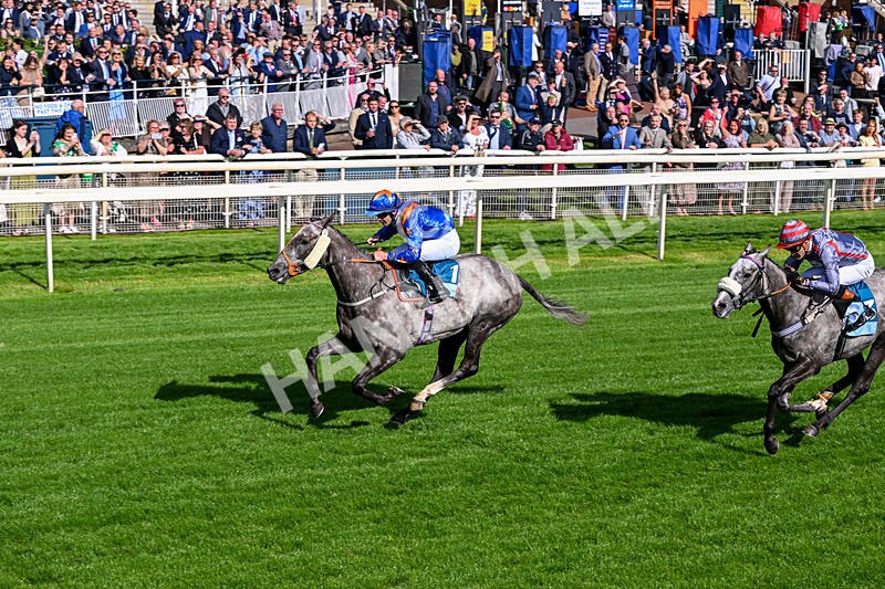 120626-Race 7-Say What You See-8478 - Race 7 17.18pm Event Traffic Control Handicap