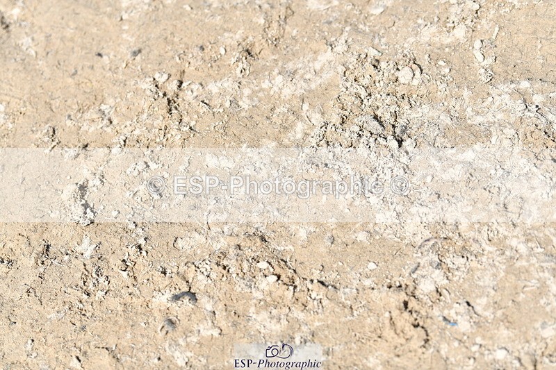 260704A-154424-15172 - Cls 39 Snr Disco 1m Open