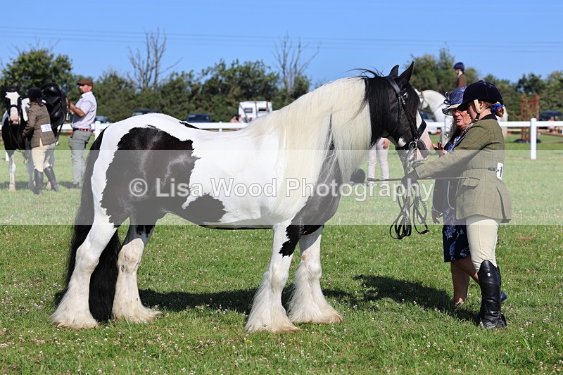 IMG_1593 - Class 30: Ridden Native/Trad Coloured Pony