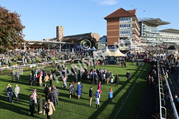 yr08102022r7-7 - Race 7 5.00pm The Coral Gets You Closer To The Action Stakes